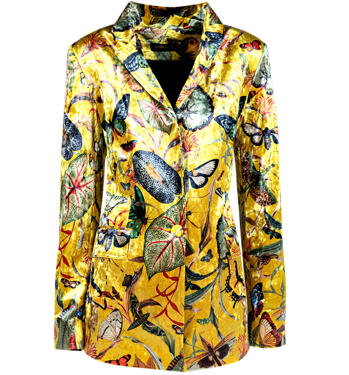 Butterfly Yellow - Blazer Terciopelo