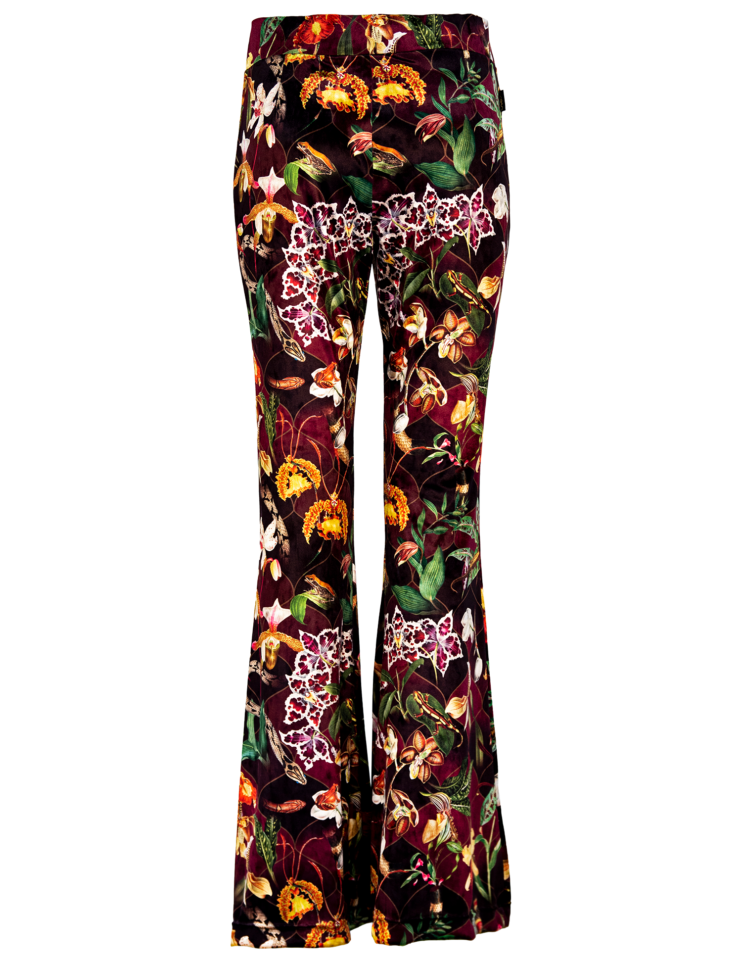 Orquideas Tigre - Pantalon Terciopelo