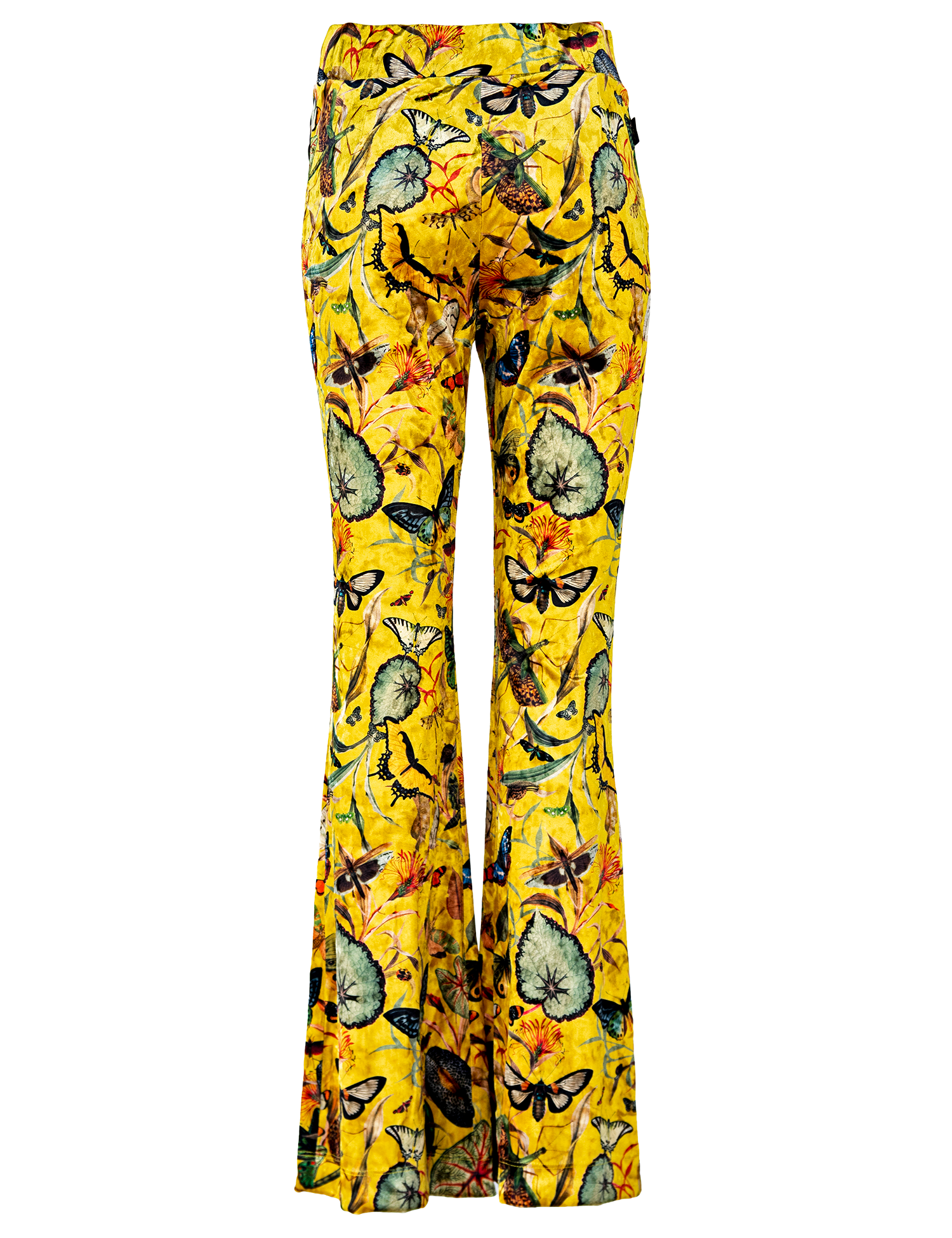 Yellow Butterfly - Pantalon Terciopelo