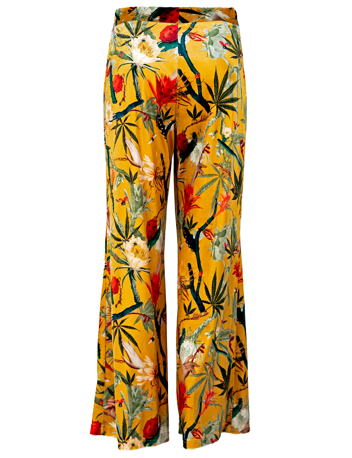 Cactus Yellow - Pantalon Terciopelo