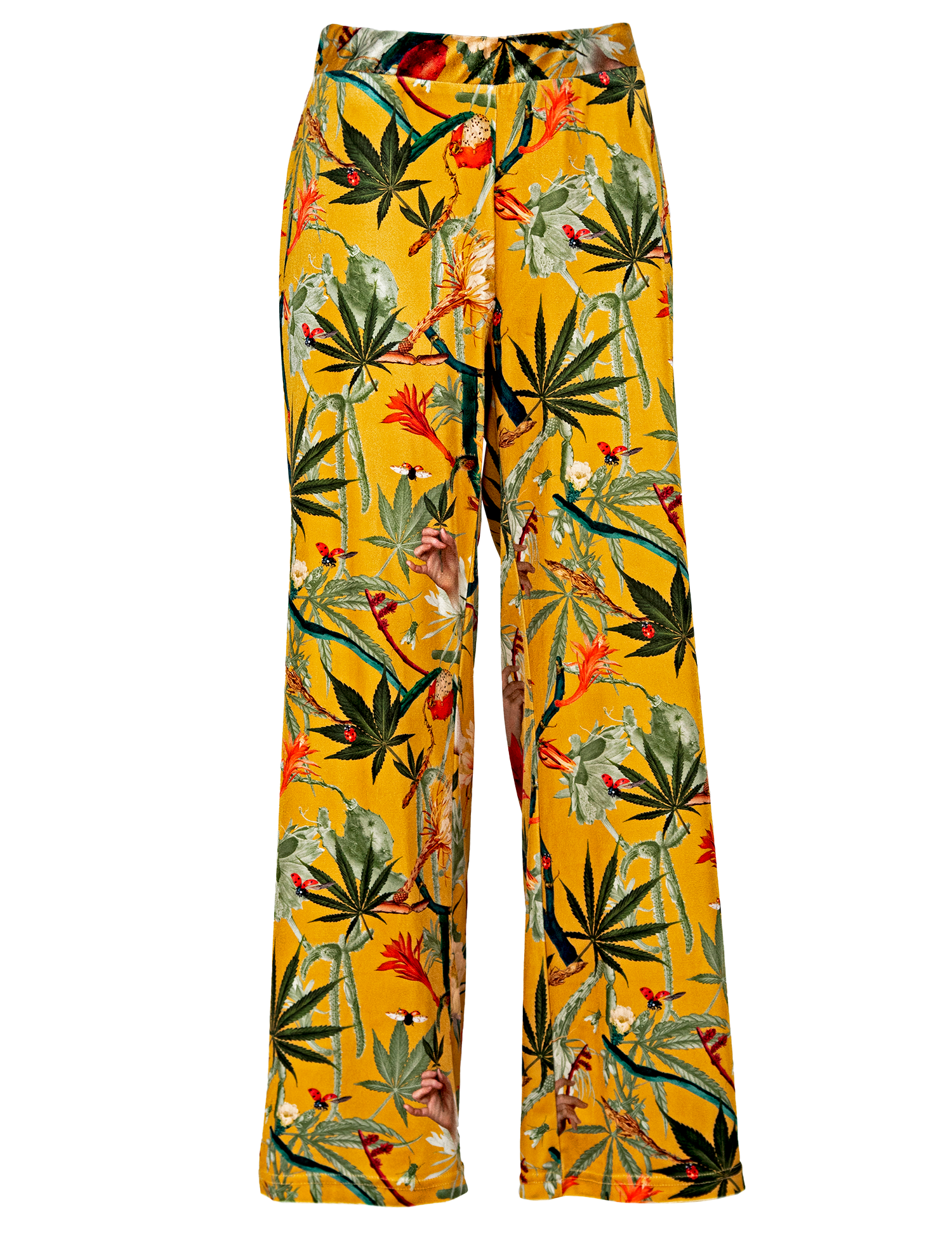 Cactus Yellow - Pantalon Terciopelo