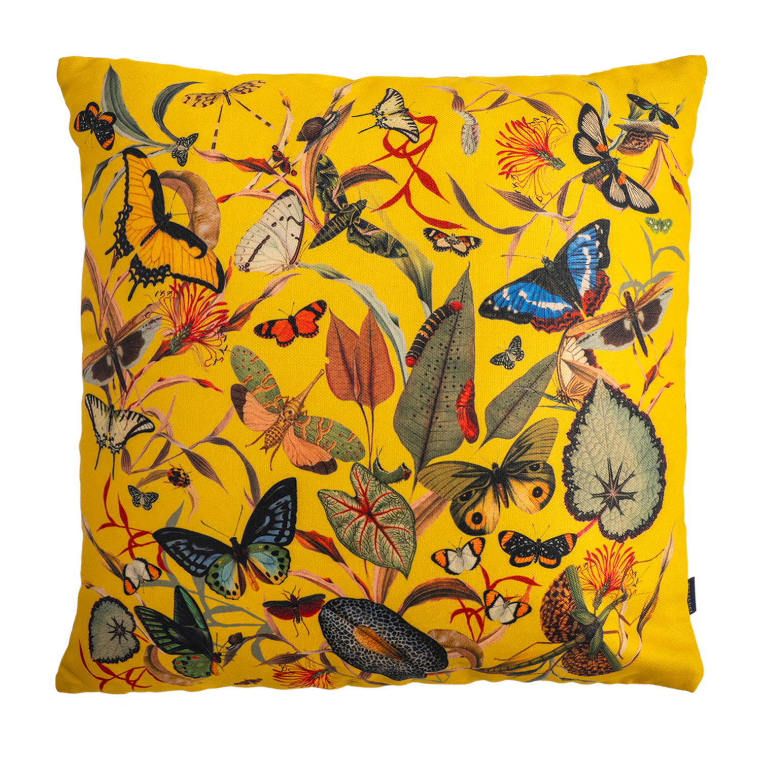 Butterfly Yellow - Cojin Lona